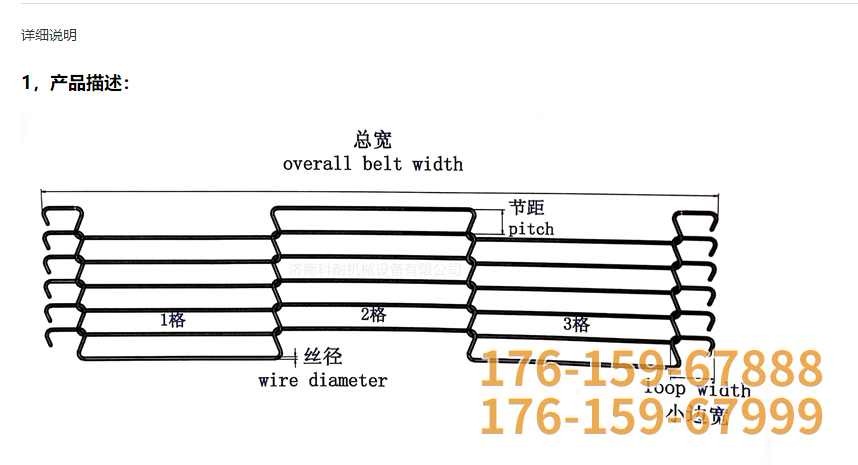 AA乙型网结构图